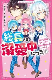 総長さま、溺愛中につき。　全11冊セット (スターツ出版)