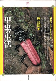 甲虫の生活: 幼虫のくらしをさぐる (甲虫シリーズ 1)
