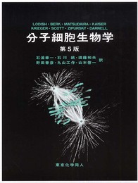 分子細胞生物学 第5版