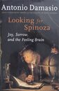 Looking for Spinoza: Joy Sorrow and the Feeling Brain