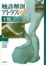 触診解剖アトラス下肢 第2版