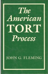 The American Tort Process