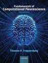 Fundamentals of Computational Neuroscience