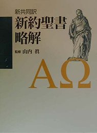 新約聖書略解: 新共同訳
