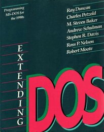Extending DOS