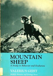 Mountain Sheep a Study in Behavior and Evolution