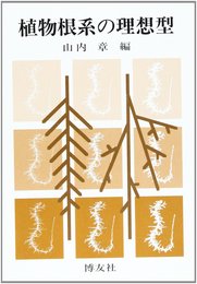 植物根系の理想型