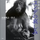 ユンデの哀しみ 改訂版