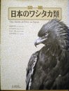 図鑑日本のワシタカ類