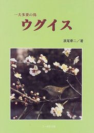一夫多妻の鳥ウグイス (BIRDERスペシャル)