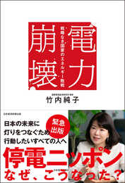 電力崩壊 戦略なき国家のエネルギー敗戦