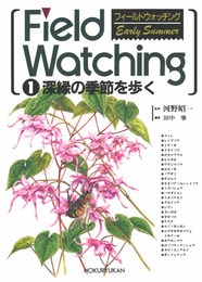 フィールドウォッチング (1)深緑の季節を歩く