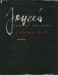 Joyce's Book of the Dark: Finnegans Wake