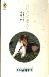 忘れられないあなた (ハーレクイン・イマージュ 606)
