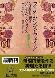 フィネガンズ・ウェイク 3・4 (河出文庫)