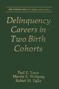 Delinquency Careers in Two Birth Cohorts (The Plenum Series in Crime and Justice)