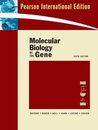Molecular Biology of the Gene: International Edition