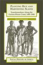 Planting Rice and Harvesting Slaves: Transformations Along the Guinea-Bissau Coast 1400-1900 (Social History of Africa)