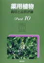 薬用植物 pt.10―栽培と品質評価