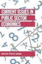 Current Issues in Public Sector Economics (Current Issues in Economics)