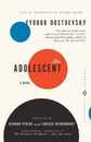 The Adolescent (Vintage Classics)