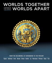 Worlds Together Worlds Apart: A History of the World from the Beginnings of Humankind to the Present