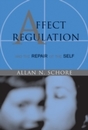Affect Regulation & the Repair of the Self (Norton Series on Interpersonal Neurobiology)