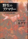 野生のアノマリー――スピノザにおける力能と権力