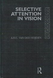 Selective Attention in Vision (International Library of Psychology)
