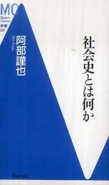 社会史とは何か (Modern Classics新書 41)