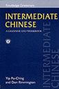 Intermediate Chinese: A Grammar and Workbook (Routledge Grammar Workbooks)