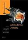 Echinoderms: Durham: Proceedings of the 12th International Echinoderm Conference 7-11 August 2006 Durham New Hampshire U.S.A.