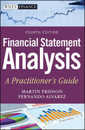 Financial Statement Analysis: A Practitioner's Guide (Wiley Finance)