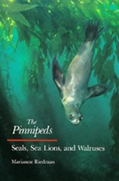 The Pinnipeds: Seals Sea Lions and Walruses