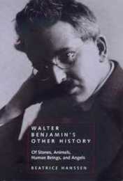 Walter Benjamin's Other History: Of Stones Animals Human Beings and Angels (Weimar and Now: German Cultural Criticism)