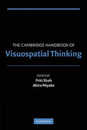 The Cambridge Handbook of Visuospatial Thinking (Cambridge Handbooks in Psychology)