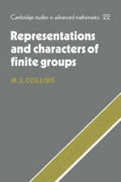 Representations of Finite Groups (Cambridge Studies in Advanced Mathematics Series Number 22)