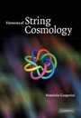 Elements of String Cosmology