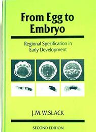 From Egg to Embryo: Regional Specification in Early Development (Developmental and Cell Biology Series Series Number 26)