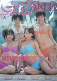 GALS PARADAISEビジュアルレースクイーン「ヴィヴ (SAN-EI MOOK)