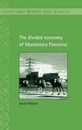 The Divided Economy of Mandatory Palestine (Cambridge Middle East Studies Series Number 11)