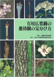 有用広葉樹の稚幼樹の見分け方