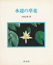 水辺の草花