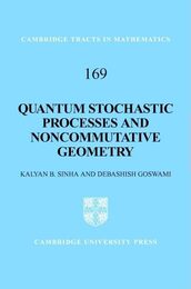 Quantum Stochastic Processes and Noncommutative Geometry (Cambridge Tracts in Mathematics Series Number 169)
