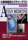 小動物臨床ピクチャ-テスト: 自己診断と解答 (鳥類診察編)