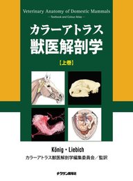 カラーアトラス獣医解剖学 上巻