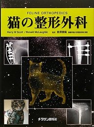 猫の整形外科