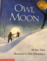 Owl Moon