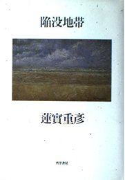 陥没地帯