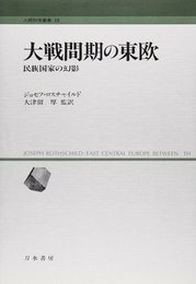 大戦間期の東欧: 民族国家の幻影 (人間科学叢書 23)